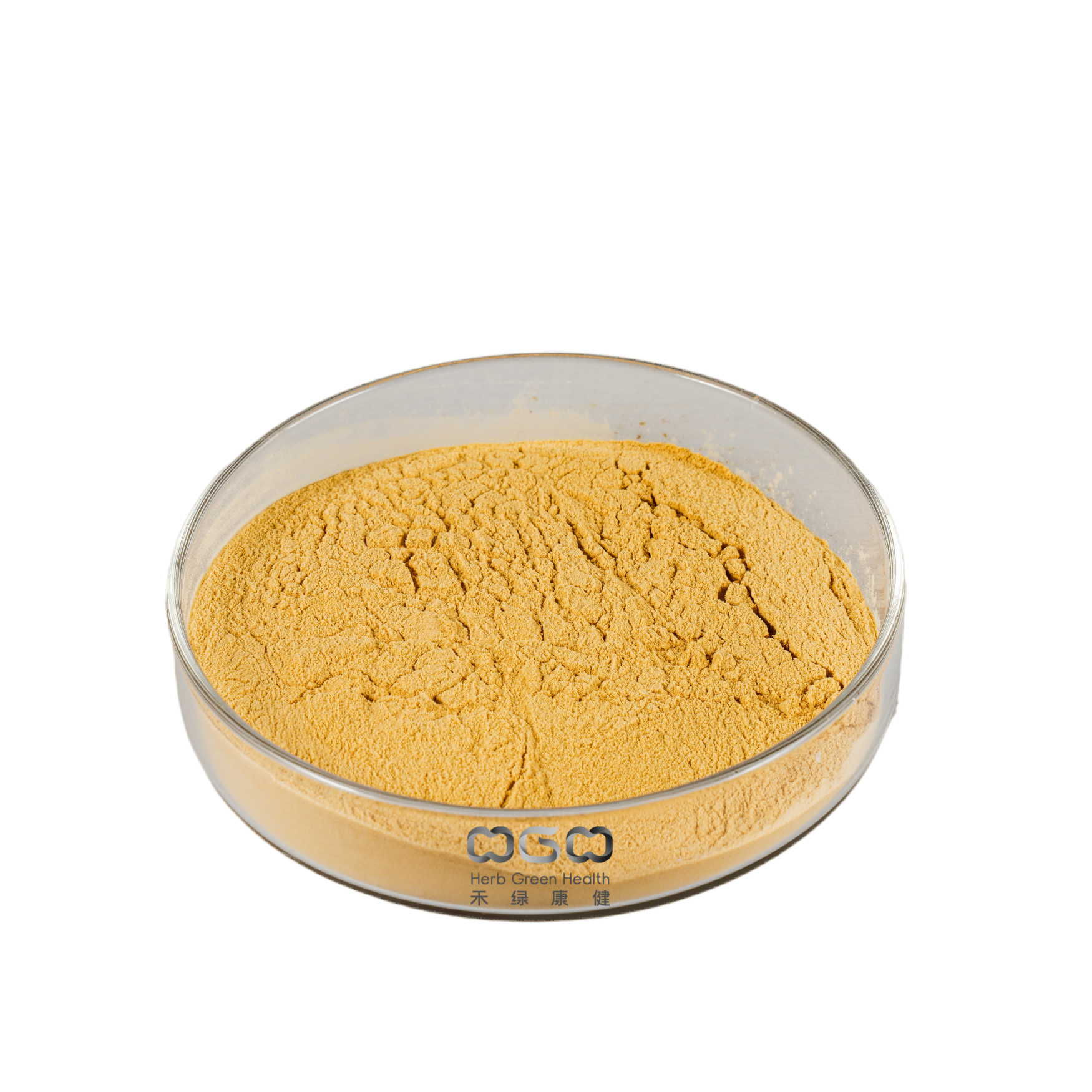  Polvo de polisacárido 30% Hericium Erinaceus de extracto de hongo melena de león