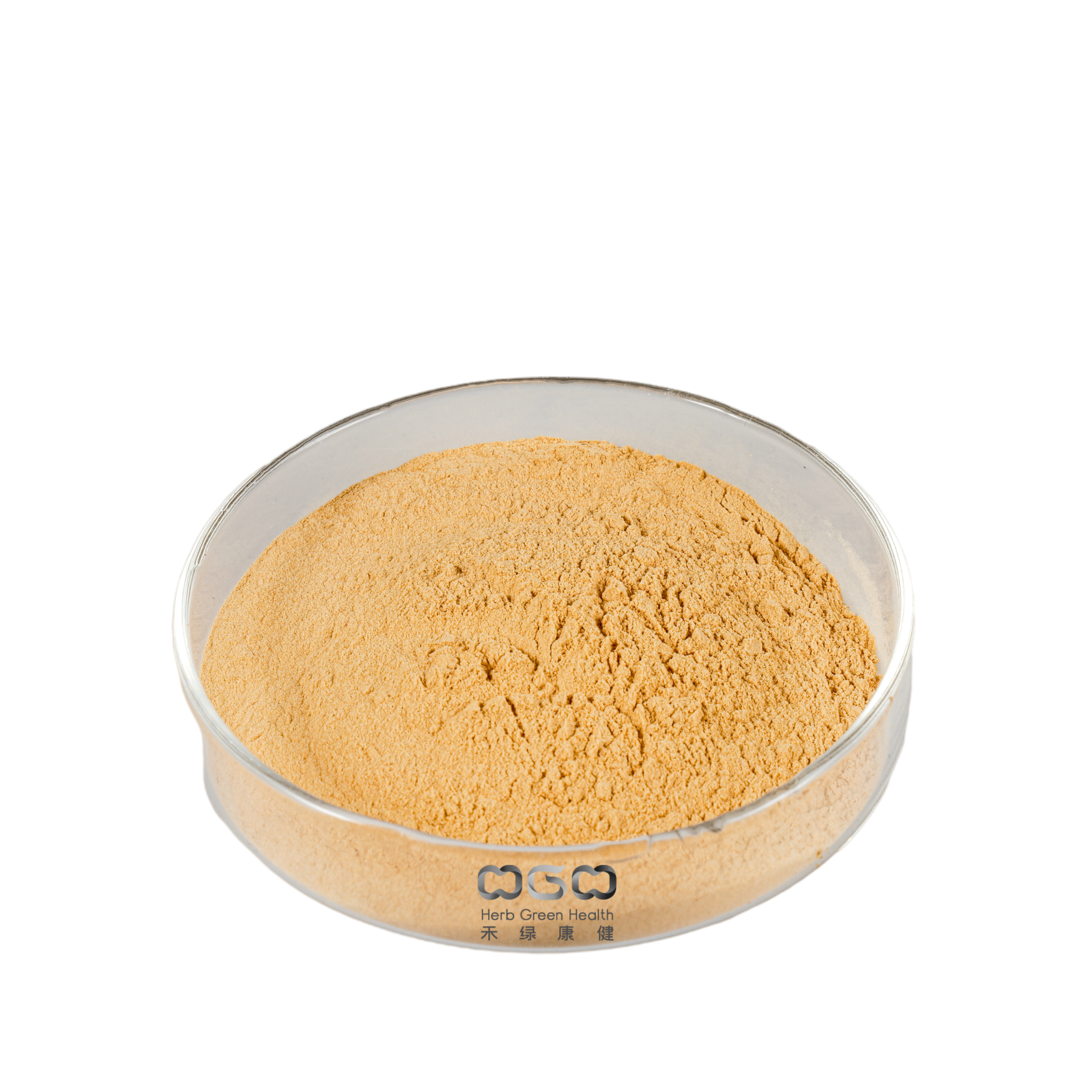 Proporción de polvo de extracto de semilla de albaricoque amargo 10: 1 para aliviar la tos