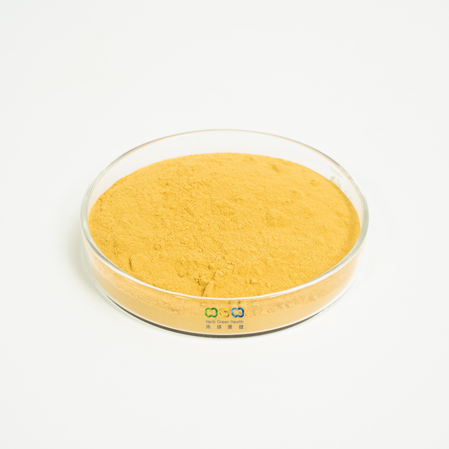 Extracto de ginsenósidos de alta calidad 1-60% Panax Ginseng para tratar enfermedades
