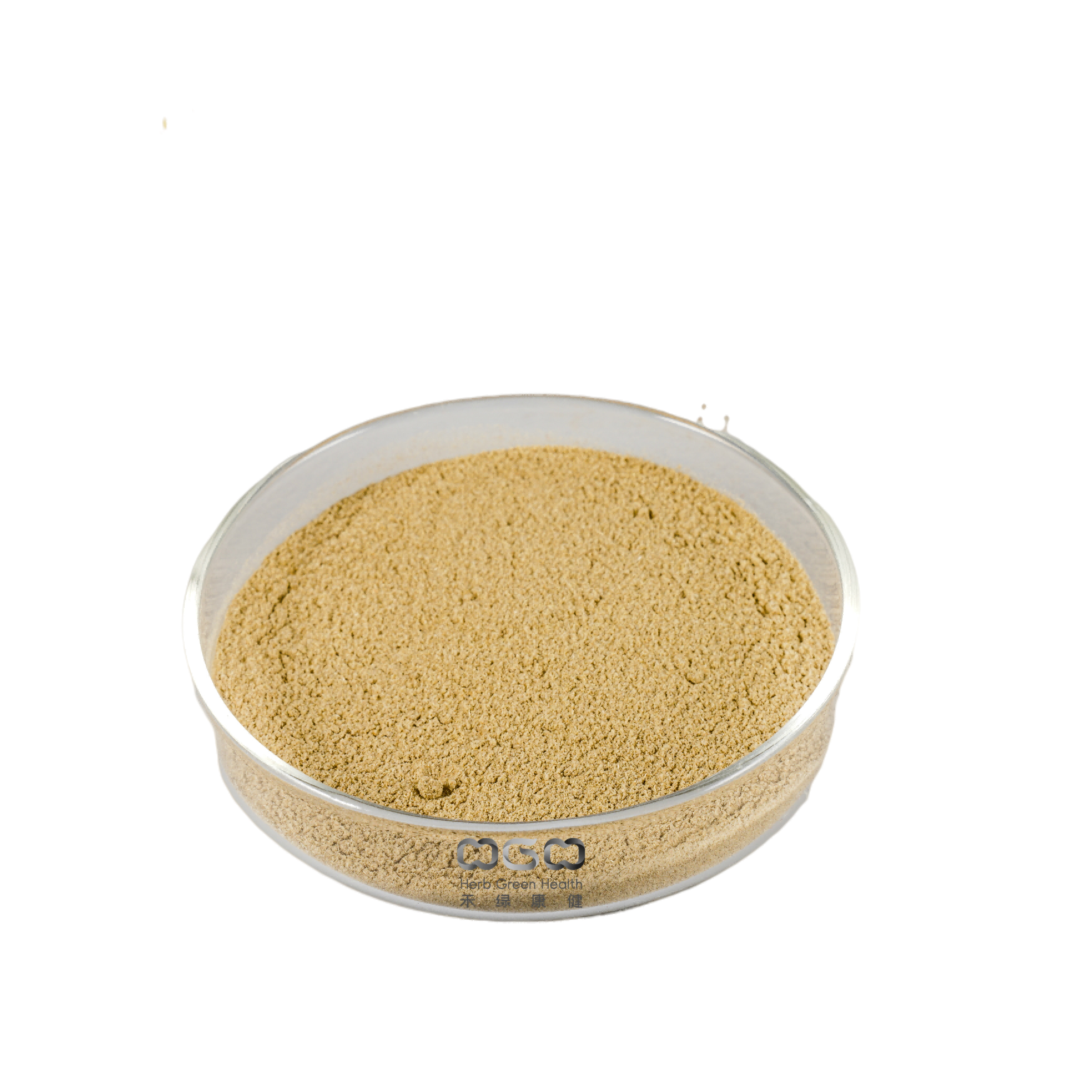 Polisacárido de extracto de semilla de loto a base de hierbas 10-30% para el tratamiento contra el cáncer