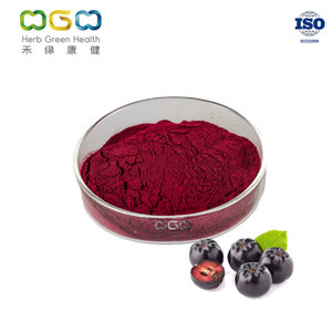 Aronia SD Polvo Cuidado de la salud para la salud del cerebro 