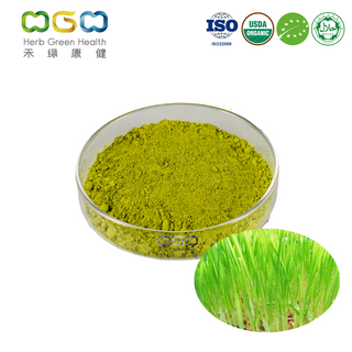Aditivo alimenticio a base de hierbas en polvo de jugo de hierba de trigo orgánico para Anti-Sarcoma-180